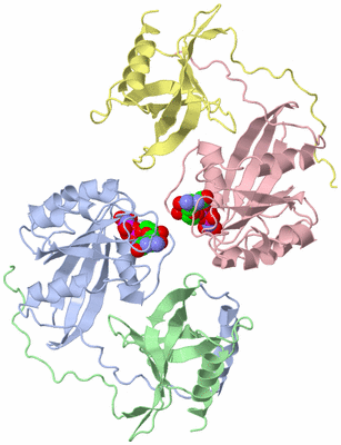 Image Biological Unit 4