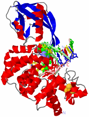 Image Asym./Biol. Unit