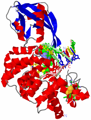 Image Asym./Biol. Unit - sites