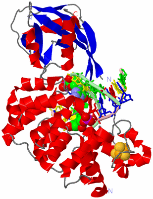 Image Asym./Biol. Unit