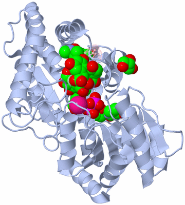 Image Biological Unit 1