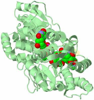 Image Biological Unit 2