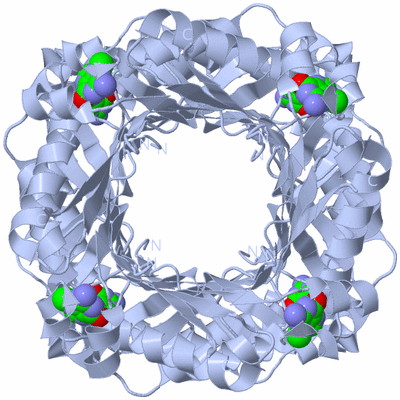 Image Biological Unit 1