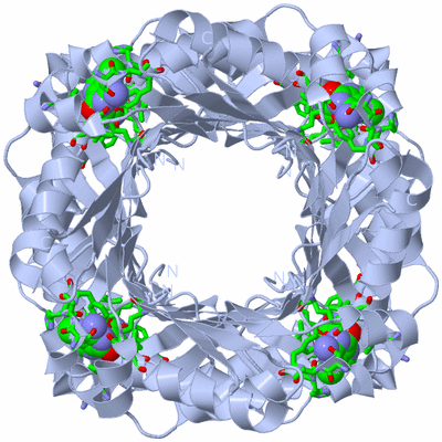 Image Biol. Unit 1 - sites