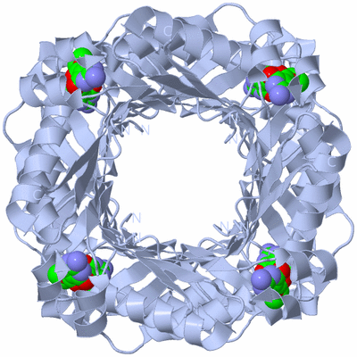 Image Biological Unit 1