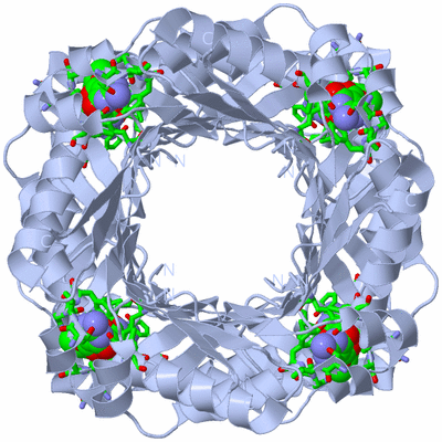 Image Biol. Unit 1 - sites