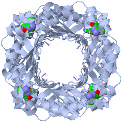 Image Biological Unit 1