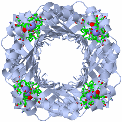 Image Biol. Unit 1 - sites