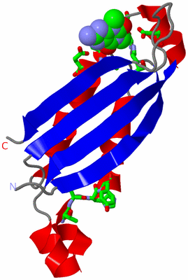 Image Asym. Unit - sites