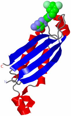 Image Asymmetric Unit