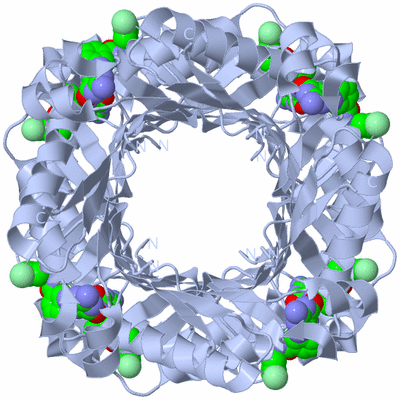 Image Biological Unit 1