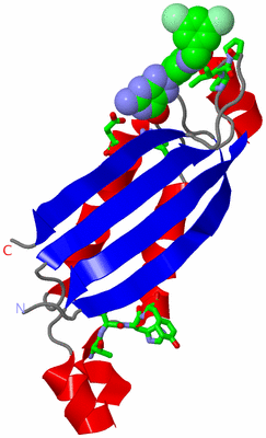 Image Asym. Unit - sites