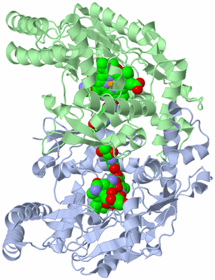 Image Asym./Biol. Unit