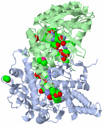 Image Asym./Biol. Unit