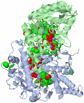 Image Asym./Biol. Unit - sites