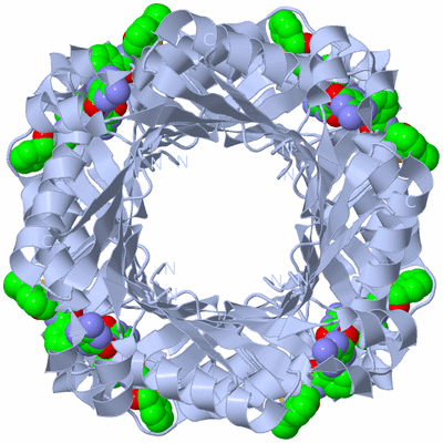 Image Biological Unit 1