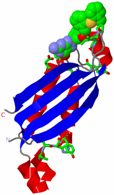 Image Asym. Unit - sites