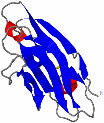 Image NMR Structure - model 1