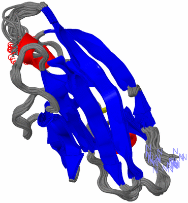 Image NMR Structure - all models