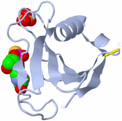 Image Biological Unit 1