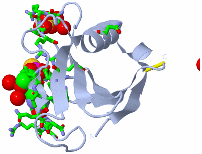 Image Biol. Unit 1 - sites