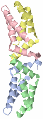 Image NMR Structure - model 1