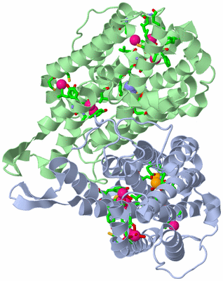 Image Asym./Biol. Unit - sites