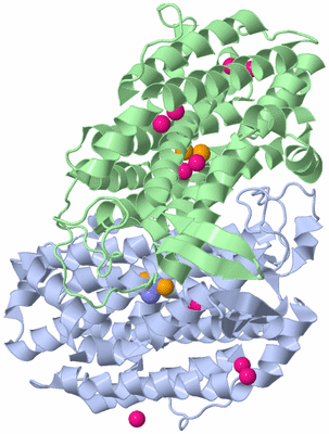 Image Asym./Biol. Unit