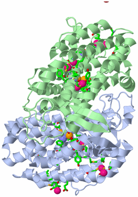 Image Asym./Biol. Unit - sites