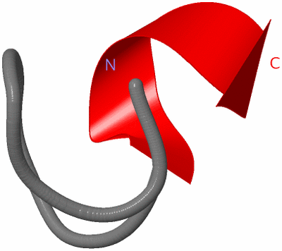 Image NMR Structure - model 1