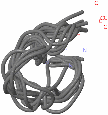 Image NMR Structure - all models