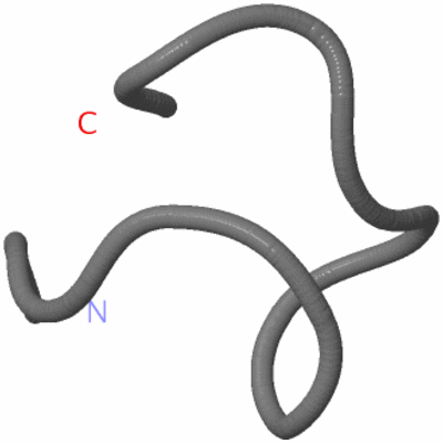 Image NMR Structure - model 1