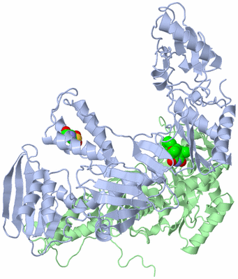 Image Asym./Biol. Unit