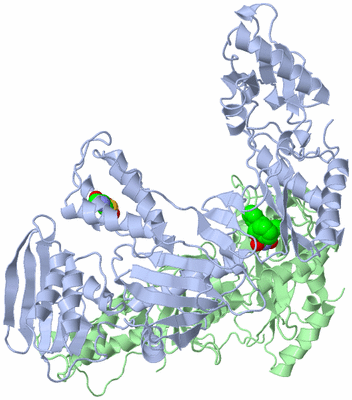 Image Asym./Biol. Unit