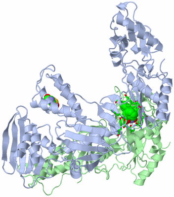 Image Asym./Biol. Unit - sites