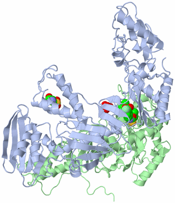 Image Asym./Biol. Unit