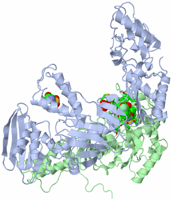 Image Asym./Biol. Unit - sites