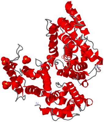 Image Asym./Biol. Unit