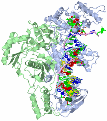 Image Biol. Unit 1 - sites