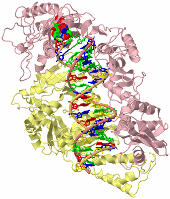 Image Biological Unit 2