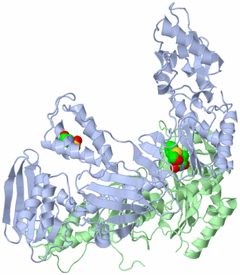 Image Asym./Biol. Unit