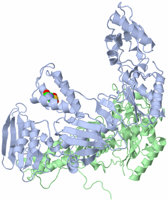 Image Asym./Biol. Unit