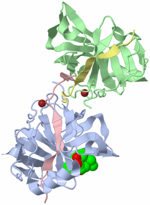 Image Asym./Biol. Unit