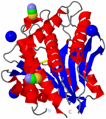 Image Asym./Biol. Unit