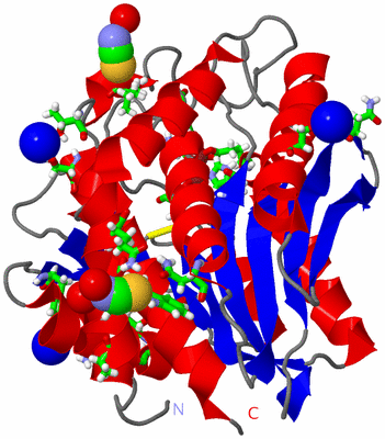 Image Asym./Biol. Unit - sites