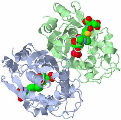 Image Asym./Biol. Unit