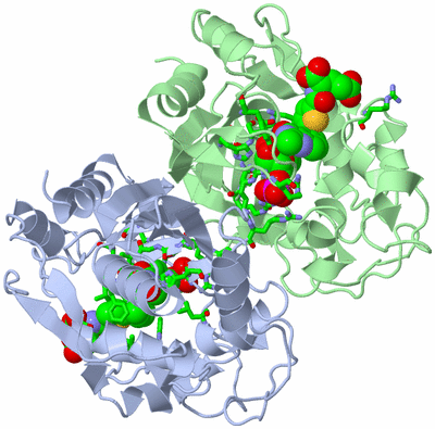 Image Asym./Biol. Unit - sites