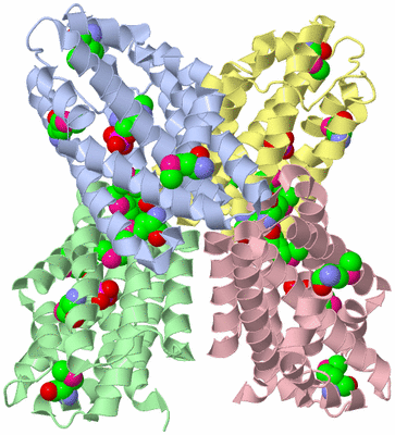 Image Asym./Biol. Unit