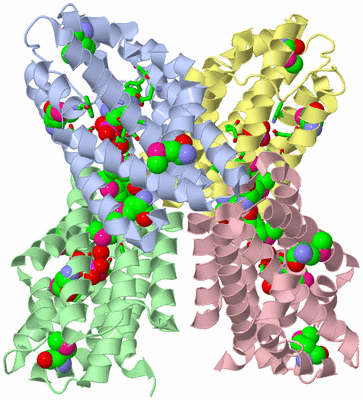 Image Asym./Biol. Unit - sites