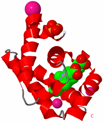 Image Asym./Biol. Unit